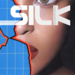 SILK_defect_data_4
